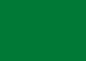 Green T-Molding
