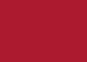 Red T-Molding