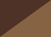 Brown and Tan T-Molding