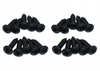 20-Black-Screws